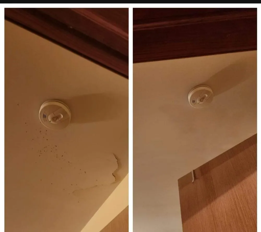 Local garden landscaping in Bushkill, PA - Jackxn of All Trades