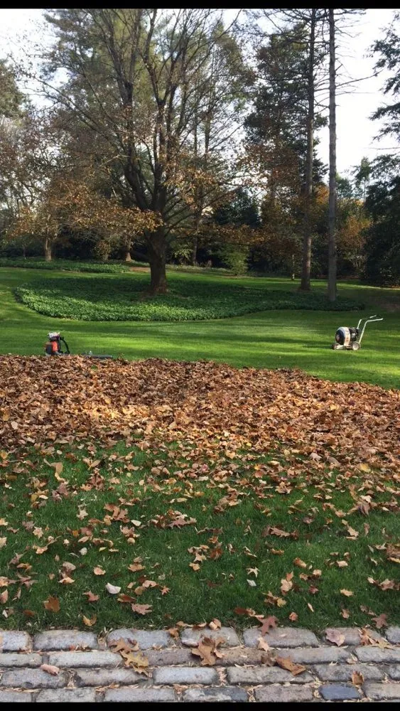 Local lawn care service in Downingtown, PA by Jacky's Roy Landscaping