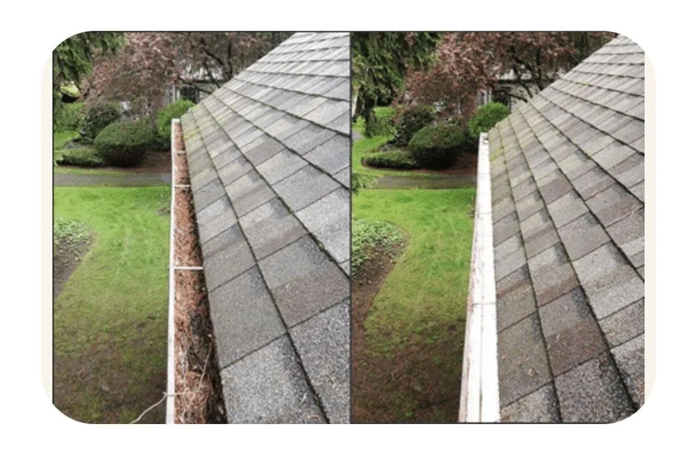 Professional residential landscaping for residential properties in Gastonia, NC by Jaco Home Services