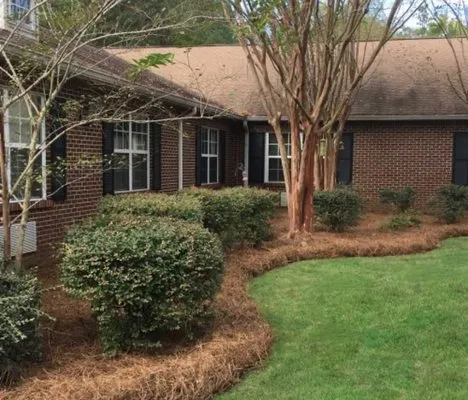 Jaco Home Services Logo