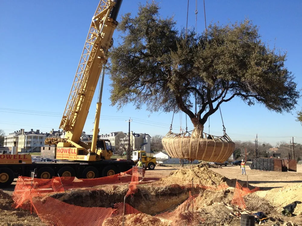 Top-rated garden landscaping for residential properties in San Antonio, TX by Jaco