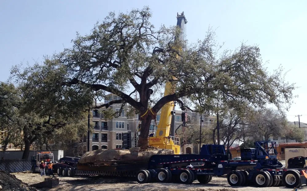 Local landscape design with custom design in San Antonio, TX by Jaco