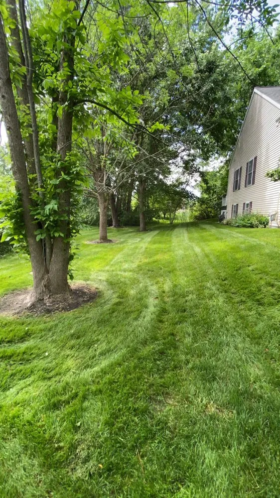 Top-rated landscaping services for beautiful yards in Burnt Hills, NY by Jacob Enterprises