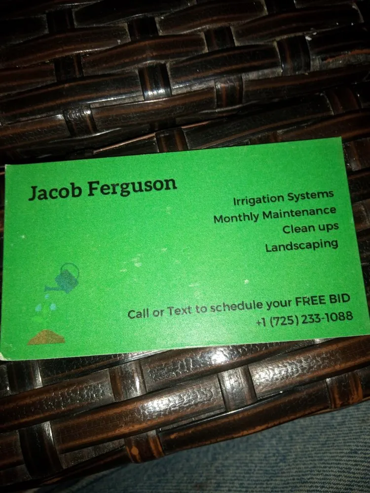 Custom lawn care service in Henderson, NV by Jacob Ferguson