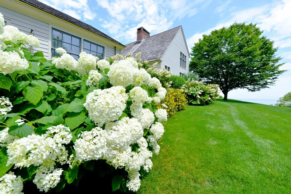 Affordable garden landscaping in East Hampton, NY - Jacob Hamilton Gardens