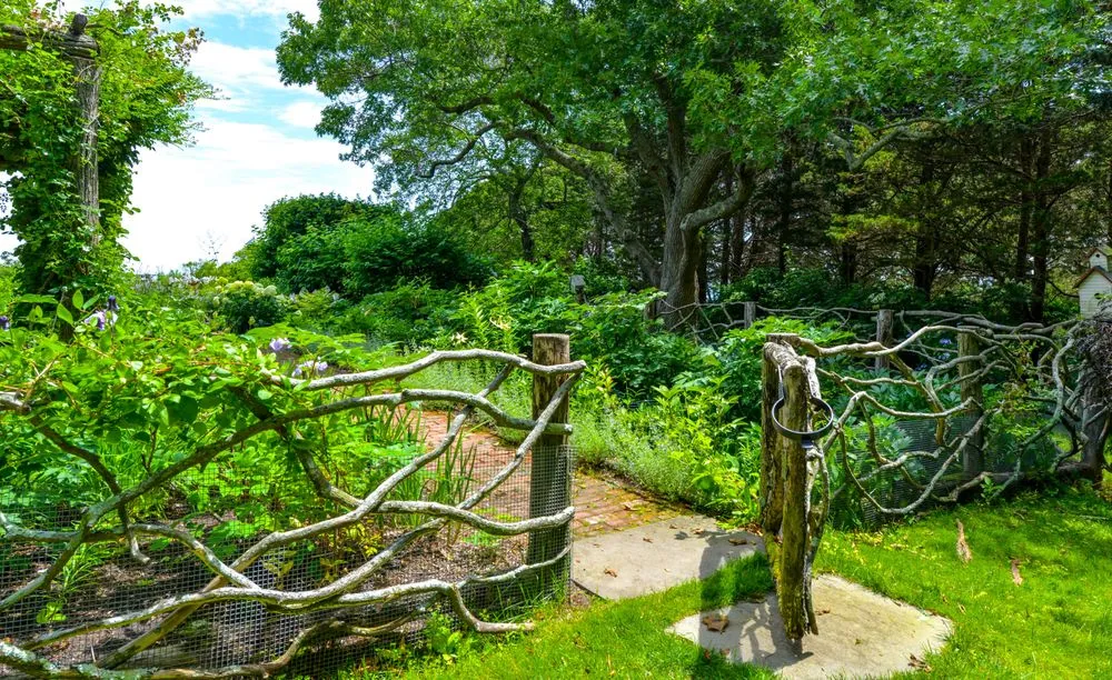 Expert lawn mowing service in East Hampton, NY - Jacob Hamilton Gardens