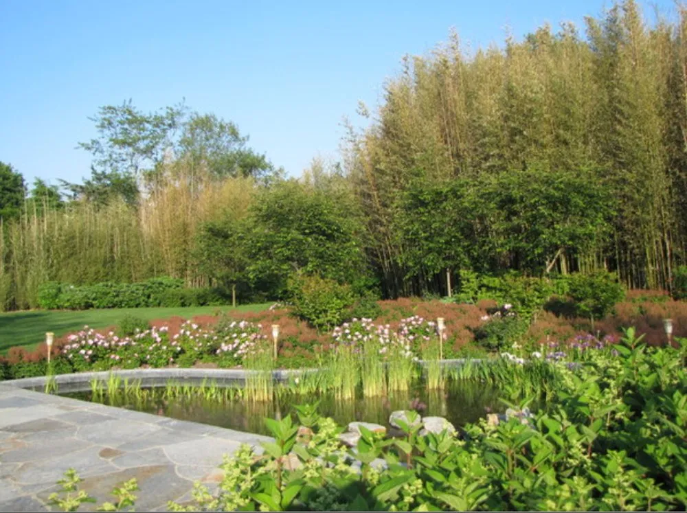 Expert yard maintenance in East Hampton, NY - Jacob Hamilton Gardens