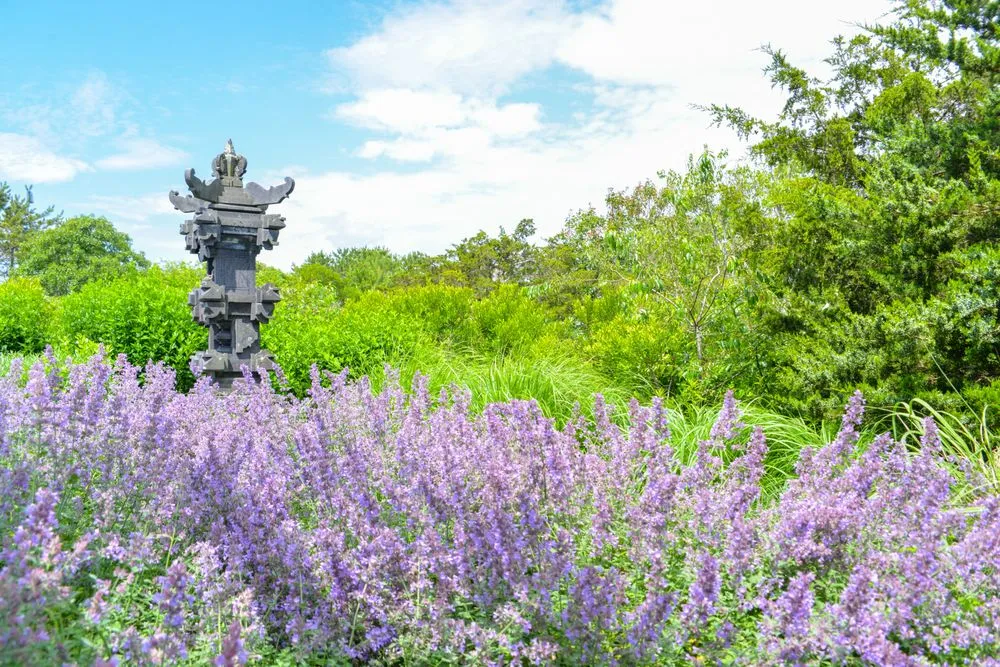 Reliable lawn mowing service for homes in East Hampton, NY by Jacob Hamilton Gardens