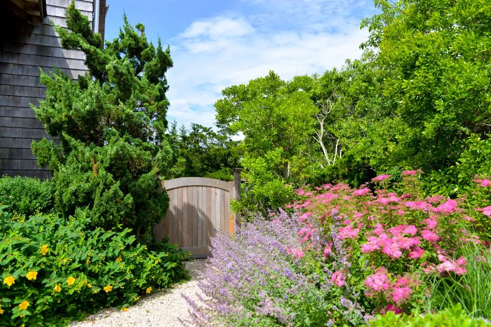 Local yard maintenance with custom design in East Hampton, NY by Jacob Hamilton Gardens