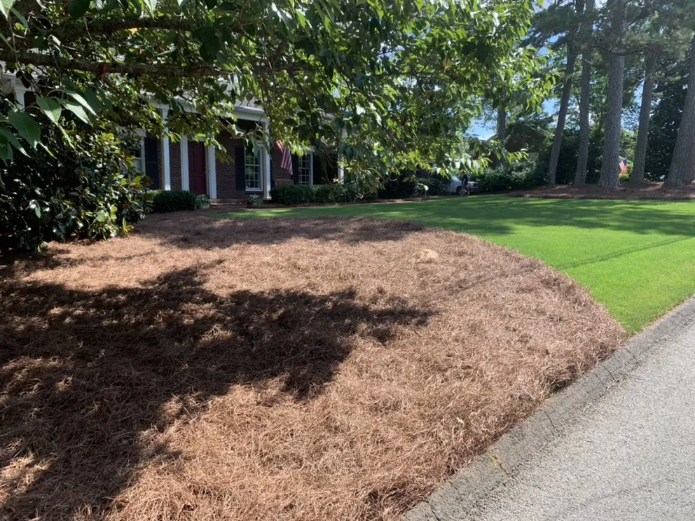 Local yard maintenance experts serving Rome, GA - Jacob Slaughter