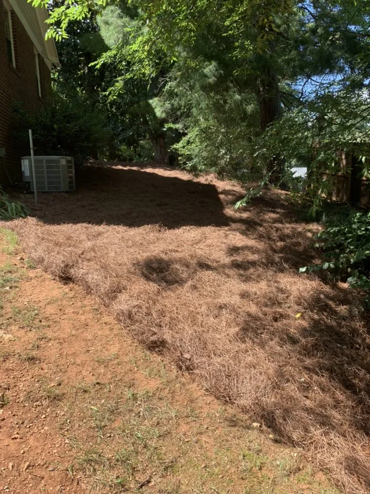 Affordable residential landscaping in Rome, GA - Jacob Slaughter