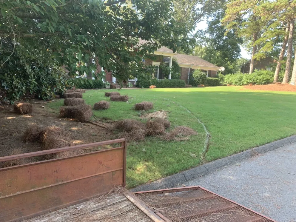 Trusted yard cleanup service experts serving Rome, GA - Jacob Slaughter