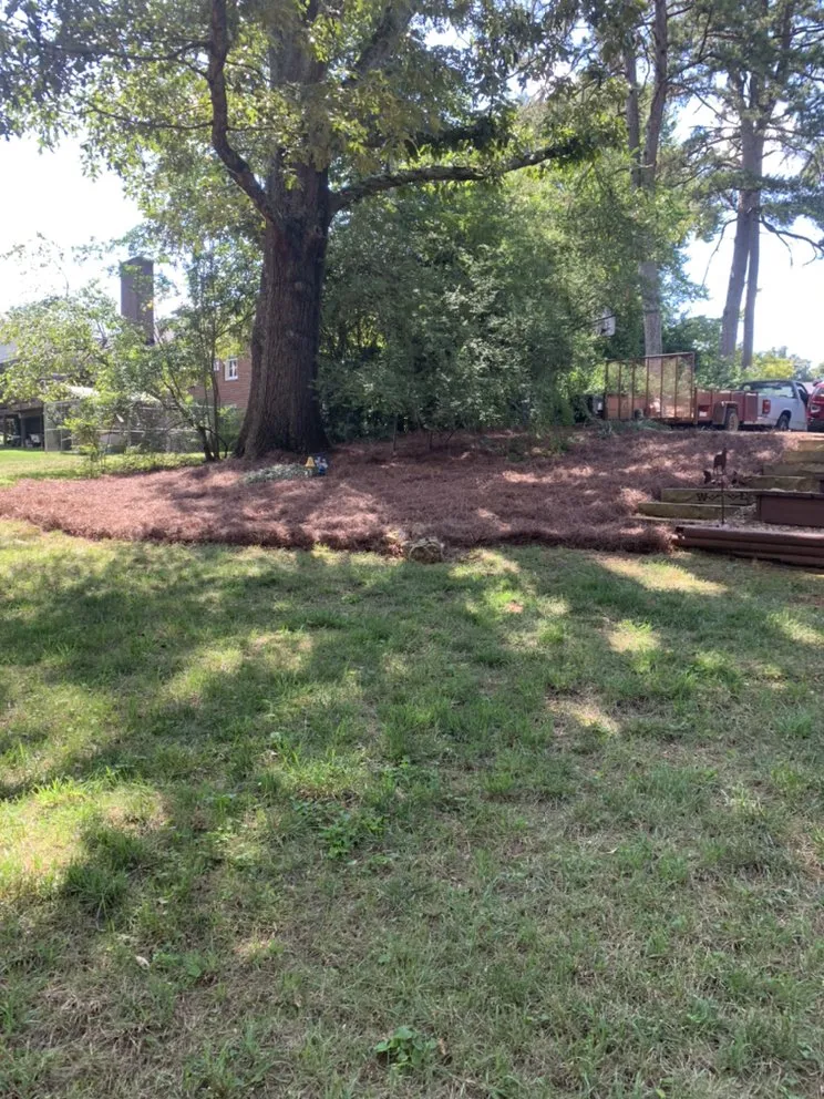 Affordable garden landscaping in Rome, GA - Jacob Slaughter