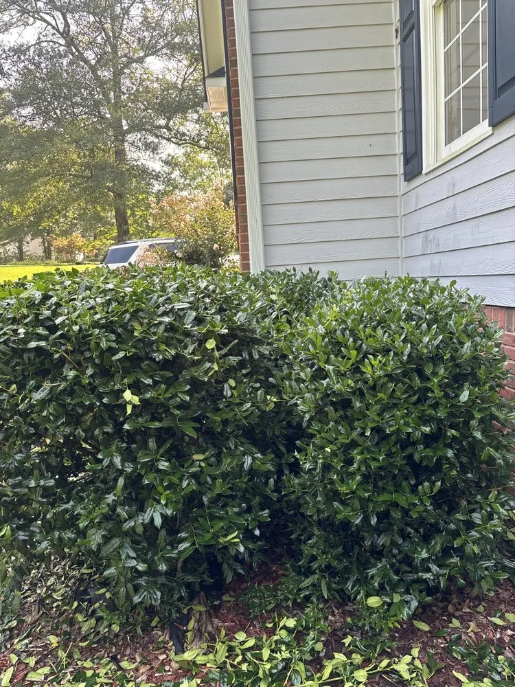 Professional lawn care service for outdoor upgrades in Rome, GA by Jacob Slaughter