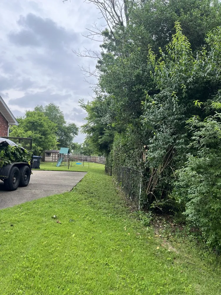 Reliable yard cleanup service for homes across Louisville, KY - Jacobi’s Property Care