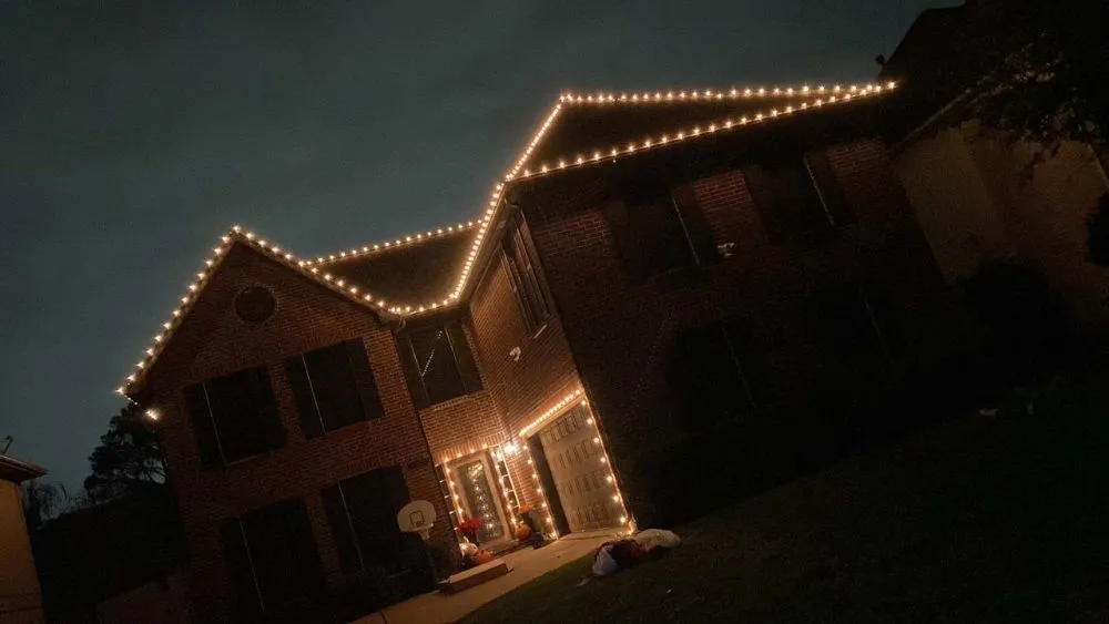 Top-rated landscaping services in Houston, TX - Jacobo Dominguez Landscaping