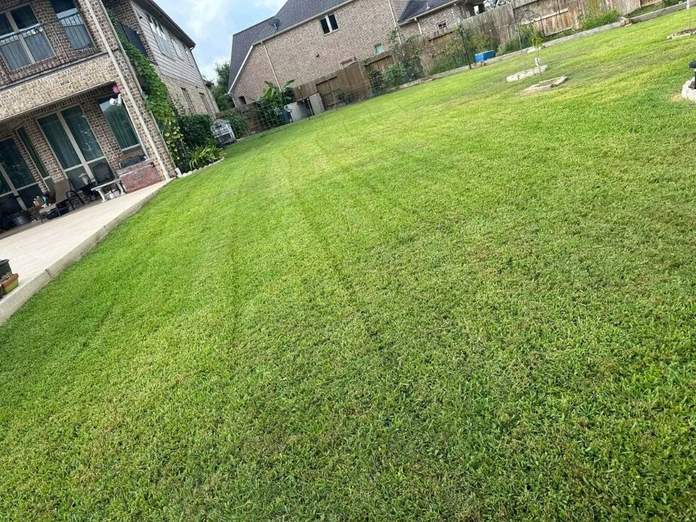 Trusted landscaping services for outdoor upgrades across Houston, TX - Jacobo Dominguez Landscaping