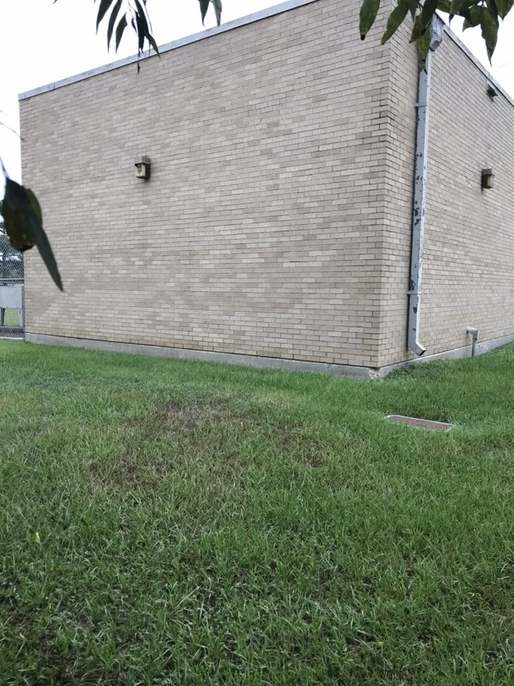 Professional yard cleanup service for homes in Conroe, TX by Jacobo Service