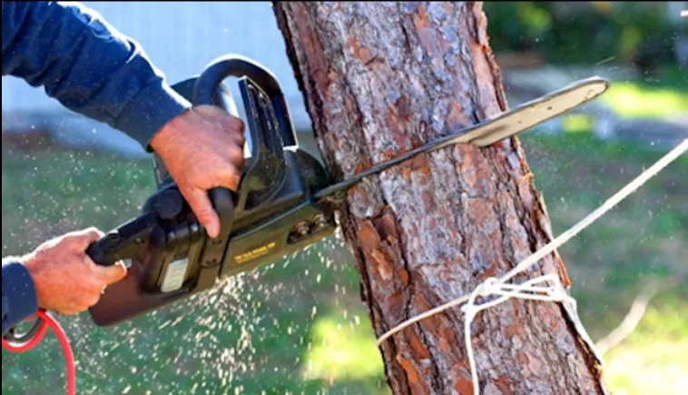 Affordable yard maintenance in Culpeper, VA - Jacobo Tree Service and Landscaping