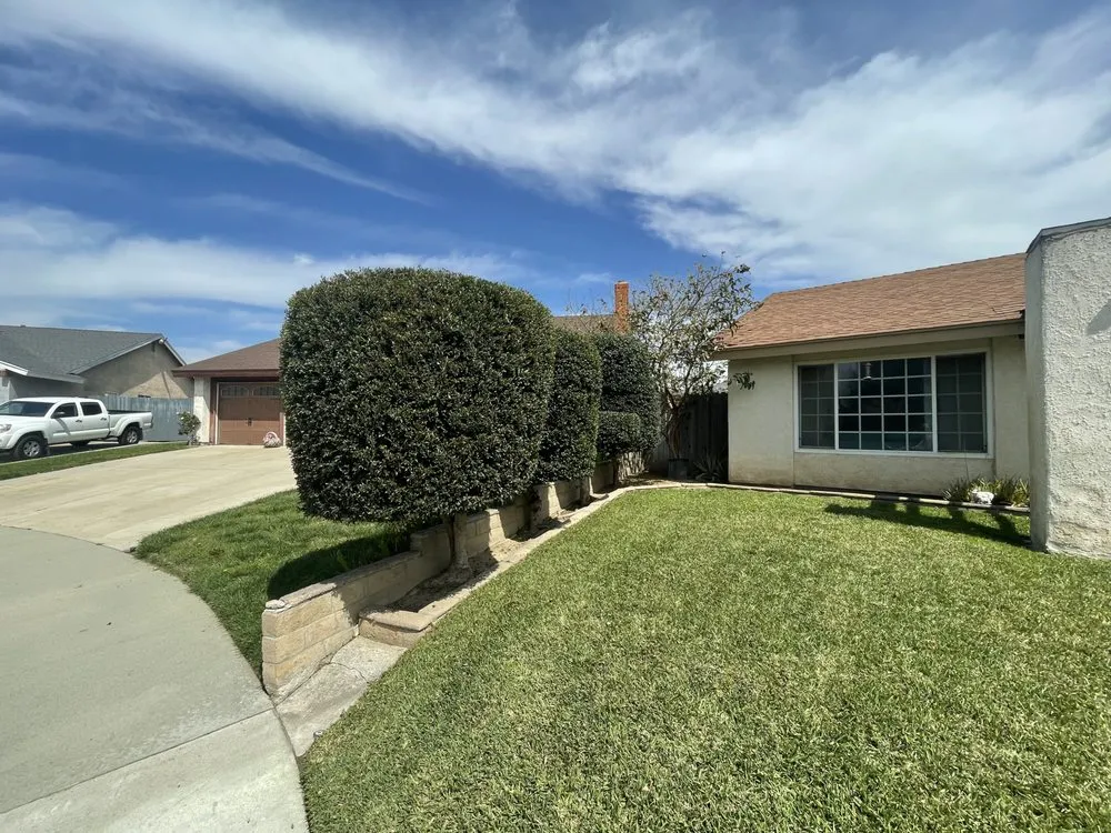 Trusted yard maintenance in Chino, CA - Jacobos Landscaping