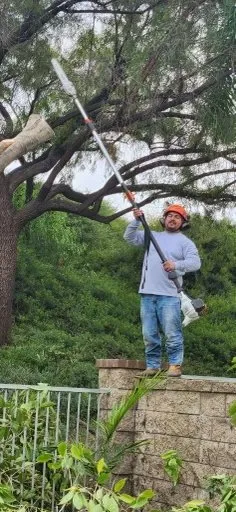 Expert lawn mowing service experts serving Chino, CA - Jacobos Landscaping