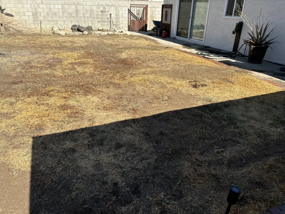 Expert yard cleanup service in Chino, CA - Jacobos Landscaping
