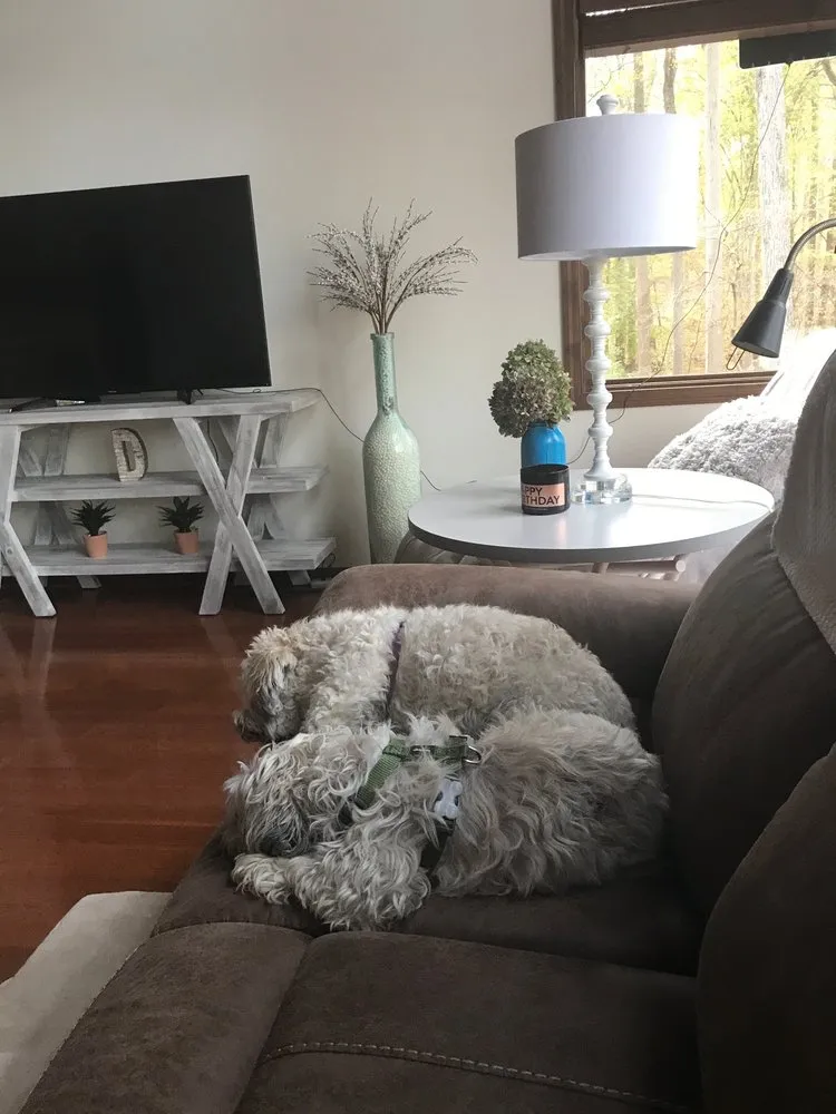 Expert garden landscaping in Pilesgrove, NJ - Jacobs Dog Sitting And landscaping