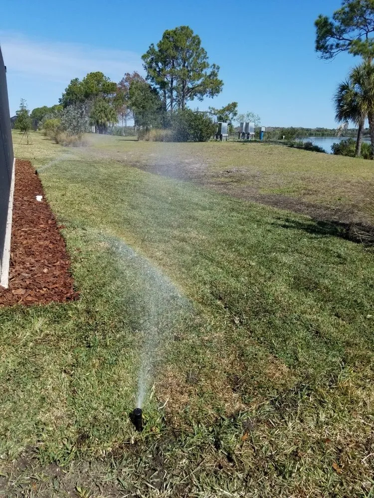 Professional landscape design experts serving Bradenton, FL - Jacob's Irrigation & Landscaping Solutions