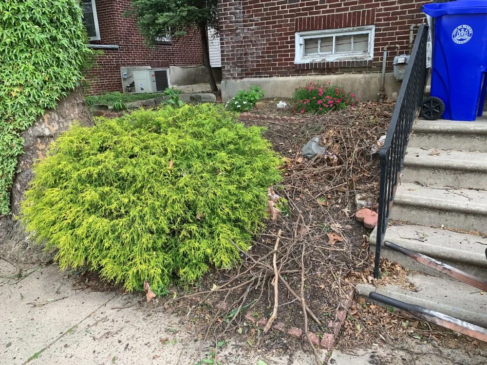 Reliable lawn care service with custom design across Reading, PA - Jacobs Land Enterprise