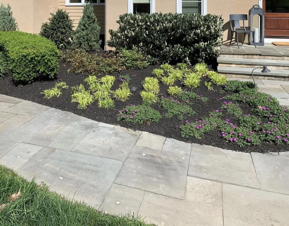 Expert yard cleanup service experts serving Reading, PA - Jacobs Land Enterprise