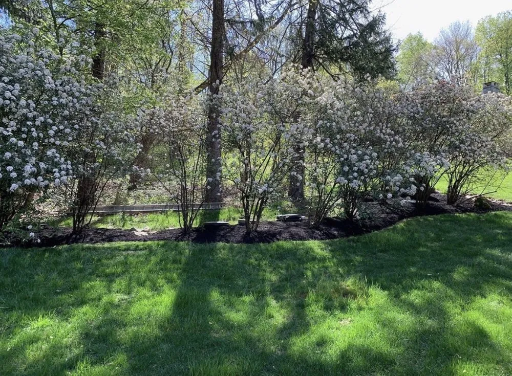 Top-rated lawn care service experts serving Reading, PA - Jacobs Land Enterprise