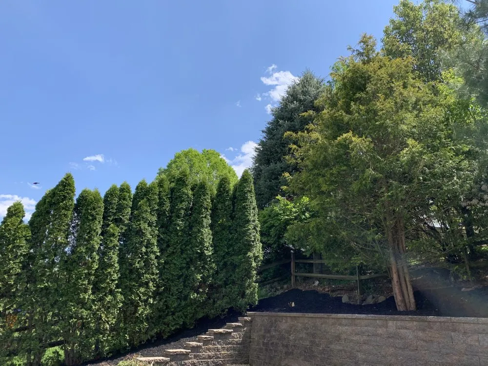 Reliable garden landscaping for year-round maintenance across Reading, PA - Jacobs Land Enterprise