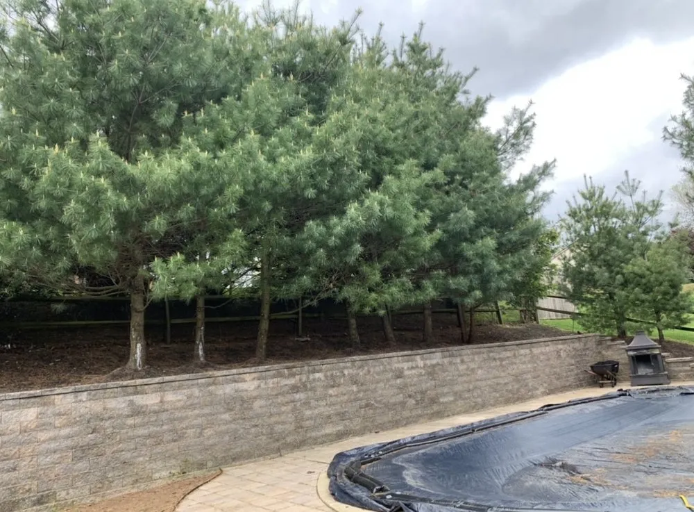 Top-rated landscape installation in Reading, PA by Jacobs Land Enterprise