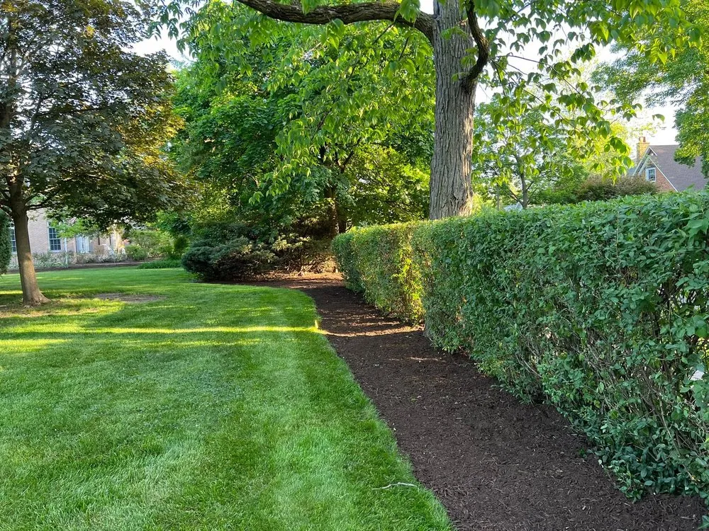 Reliable yard cleanup service for homes in Elgin, IL by Jacob’s Landscape