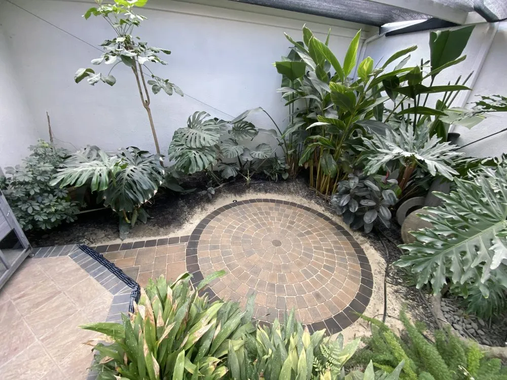 Professional landscaping services in Escondido, CA by Jacob’s Landscaping