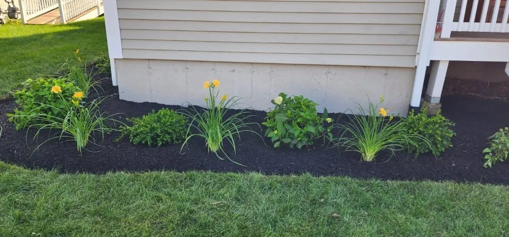 Top-rated landscaping services near you across Ipswich, MA - Jacob's Landscaping