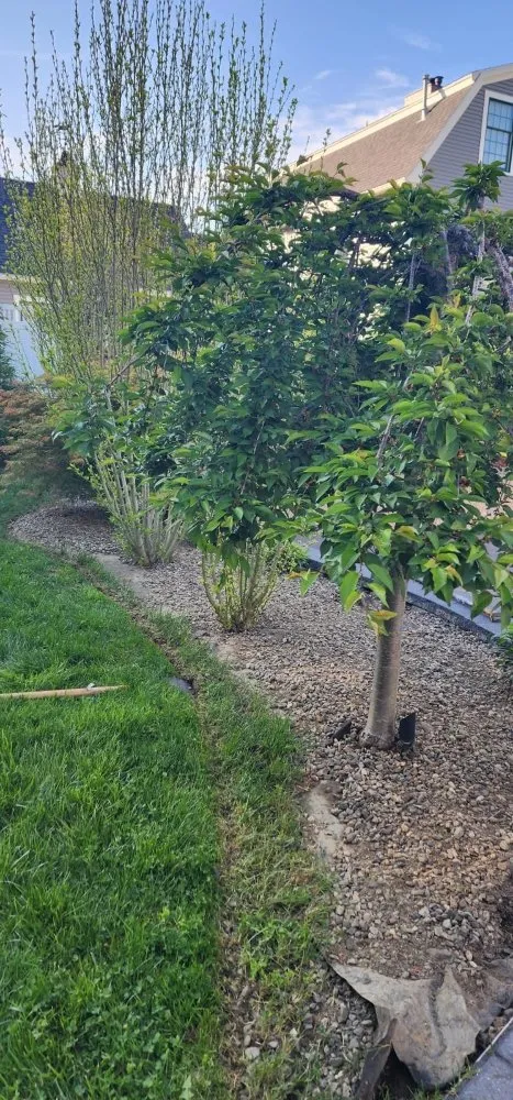 Affordable lawn care service with custom design in Ipswich, MA by Jacob's Landscaping