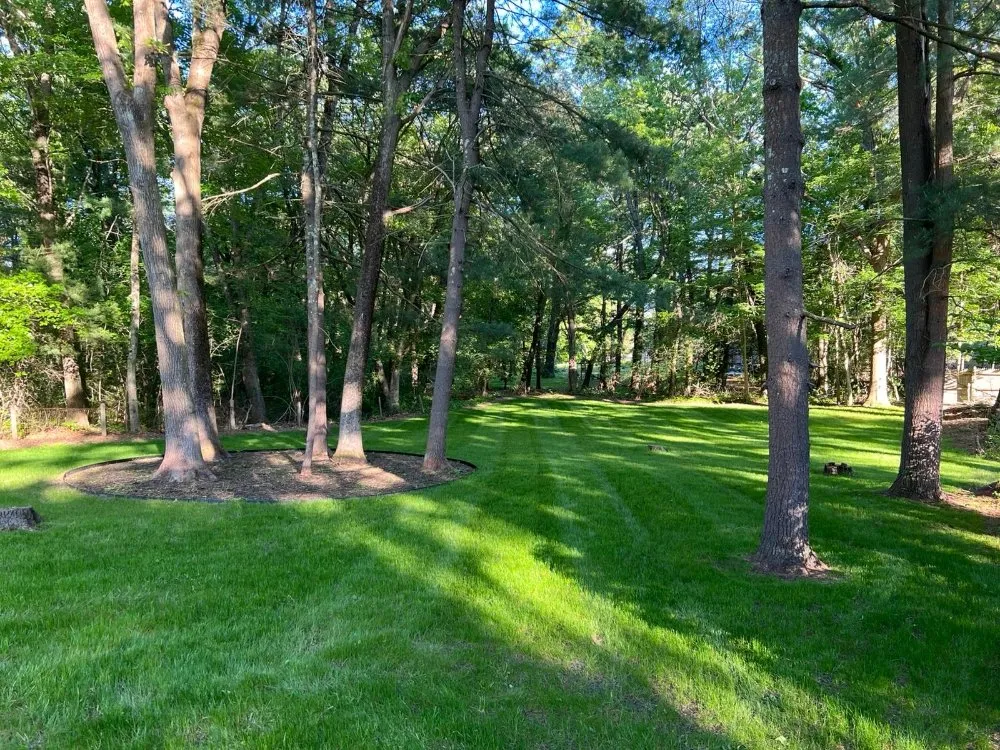 Professional yard maintenance experts serving Ipswich, MA - Jacob's Landscaping