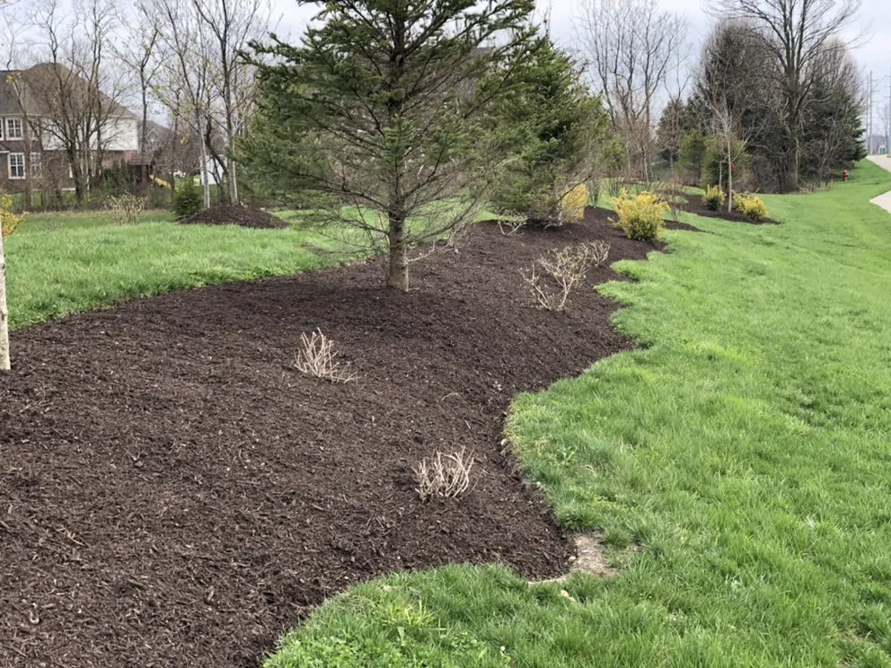 Affordable yard cleanup service in Westfield, IN by Jacob's Landscaping Services