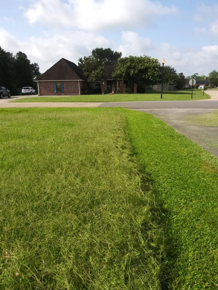 Professional landscape design in Denham Springs, LA - Jacob's lawn care
