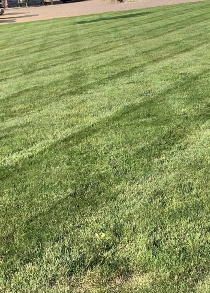 Trusted landscaping services in Mankato, MN by Jacob’s Lawn Care