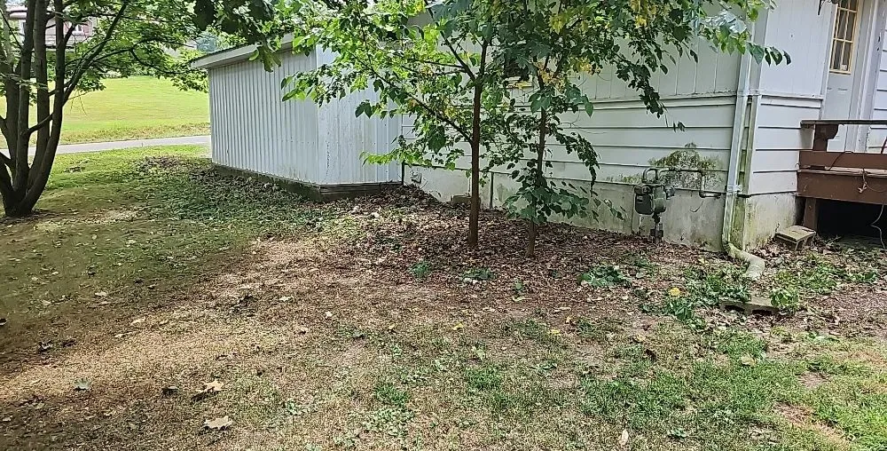 Expert lawn care service in Rittman, OH - Jacobs Lawn