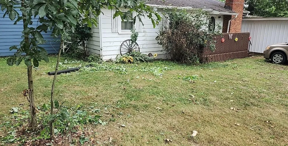 Top-rated lawn care service for beautiful yards across Rittman, OH - Jacobs Lawn