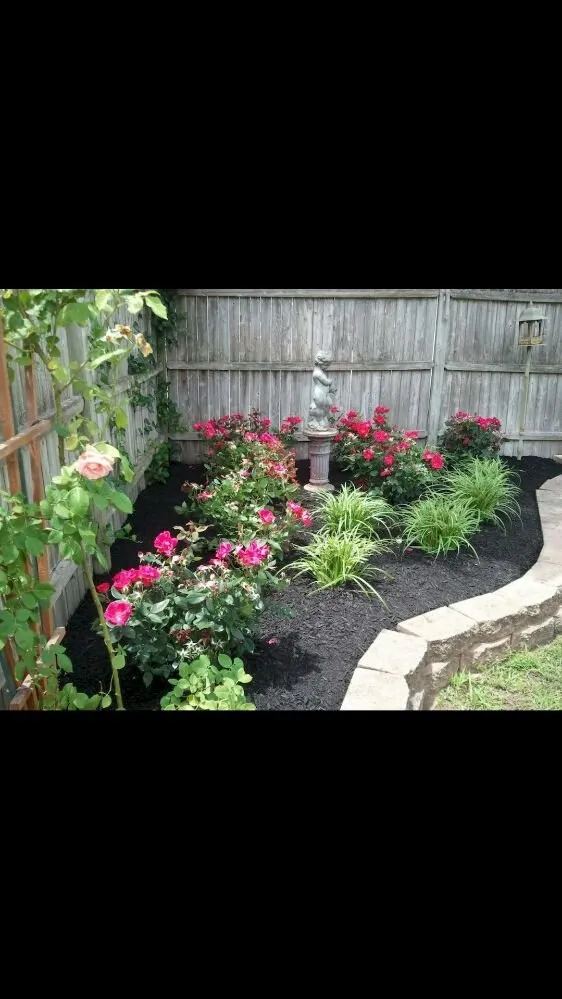 Expert yard cleanup service near you in Gainesville, VA by Jacobs Lawn Service