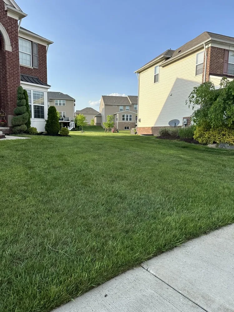 Local yard cleanup service with custom design in South Lyon, MI by Jacob’s Lawns