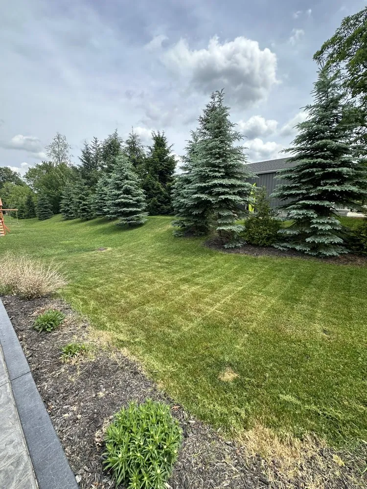 Reliable yard cleanup service for residential properties across South Lyon, MI - Jacob’s Lawns