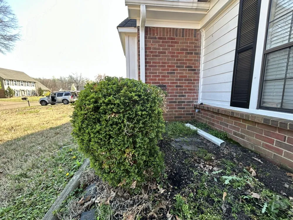 Affordable lawn care service for homes in Bartlett, TN by Jacob’s Local Landscaping