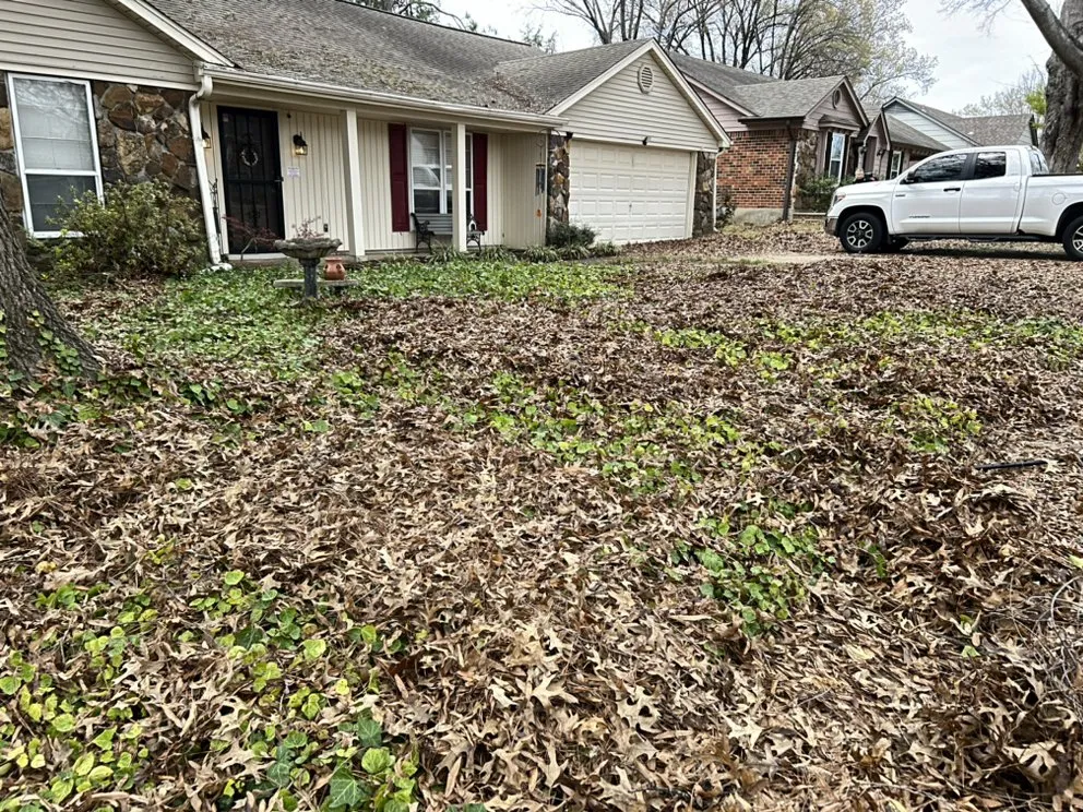 Professional yard maintenance in Bartlett, TN - Jacob’s Local Landscaping