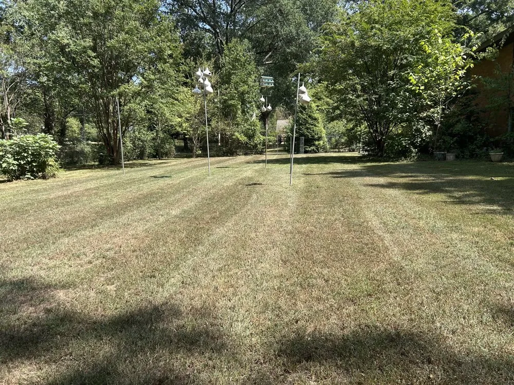 Custom yard maintenance for outdoor upgrades across Bartlett, TN - Jacob’s Local Landscaping