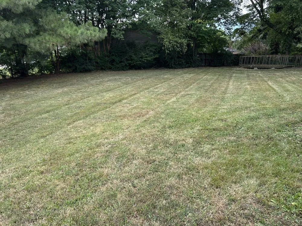 Trusted landscape installation experts serving Bartlett, TN - Jacob’s Local Landscaping